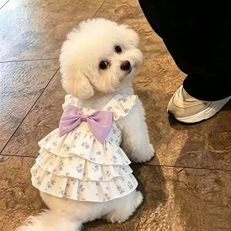 Floral strap summer dress for small dogs, available in 2 colours, image 2