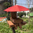 Hanging Squirrel Bird Feeder with Red Umbrella