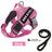 Padded vest dog harness, ideal for everyday use