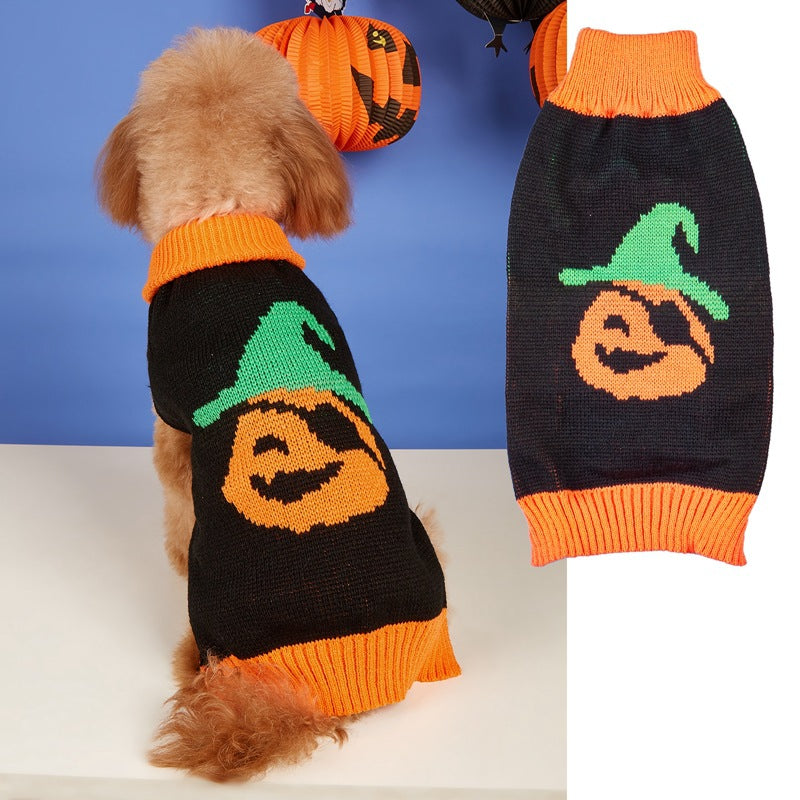 Orange pumpkin print knitted jumper on a small dog