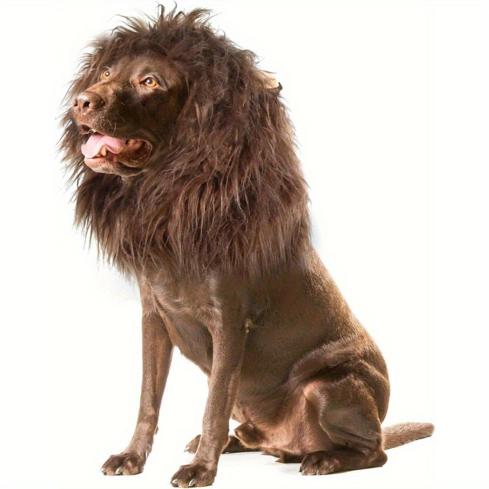 Lion mane wig hat for dogs and cats, available in 3 colours, image 8
