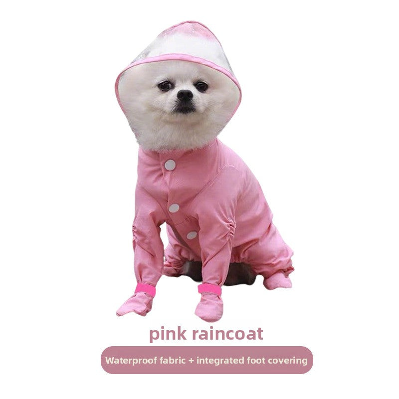 Small dog in a sky blue full cover four leg raincoat