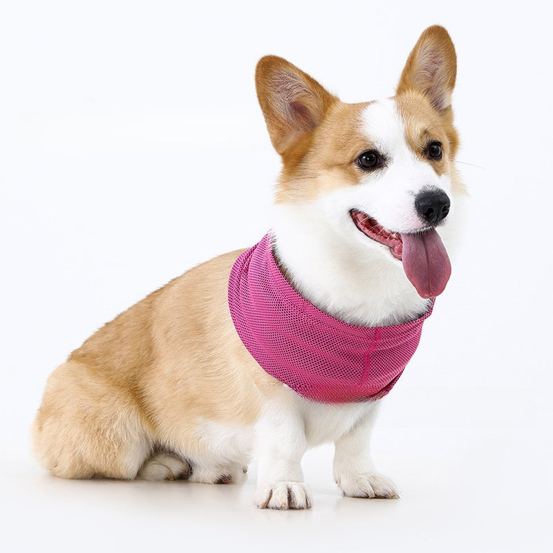 Cool touch cooling scarf for dogs and cats, available in 9 colours, image 21