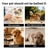 Waterless Foam Dry Shampoo Towels for Dogs and Cats, No Rinse