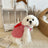 Plaid summer skirt for dogs and cats, available in 4 colours, image 2