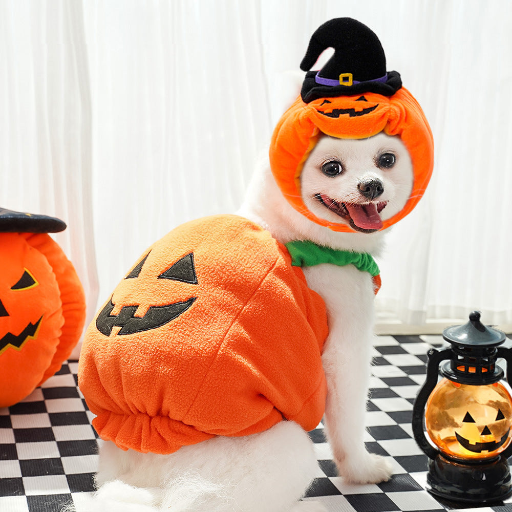 Pumpkin Halloween costume for dogs and cats in Black and Orange with Hat, close-up detail
