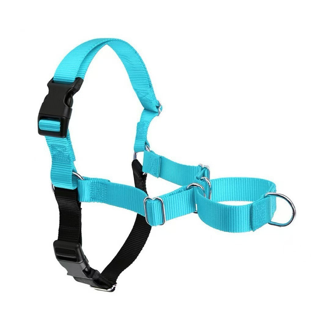 Adjustable no-pull nylon dog harness vest in bright colours, available from Pet Royale UK