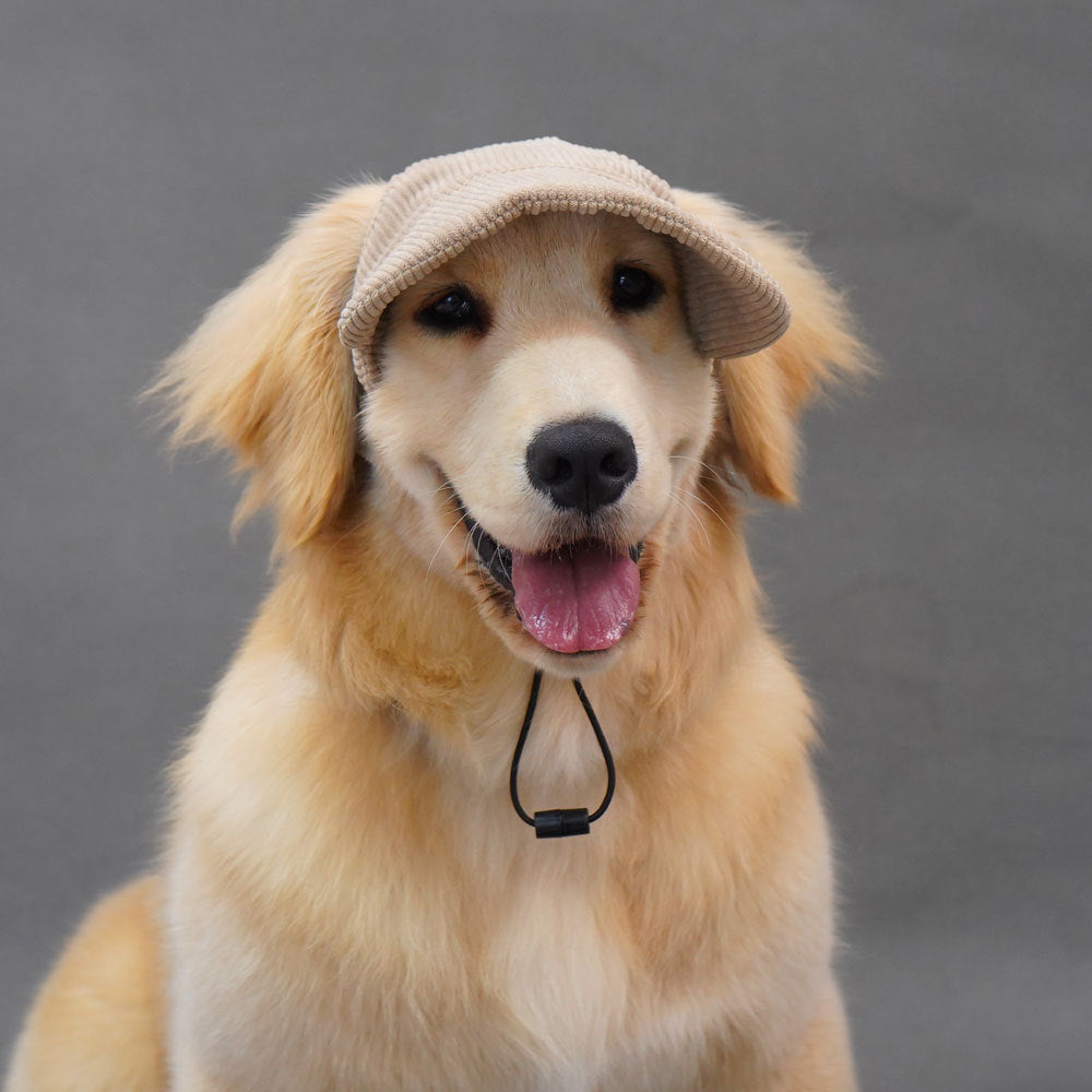 Dog baseball cap with ear openings in Corduroy Blue, side view