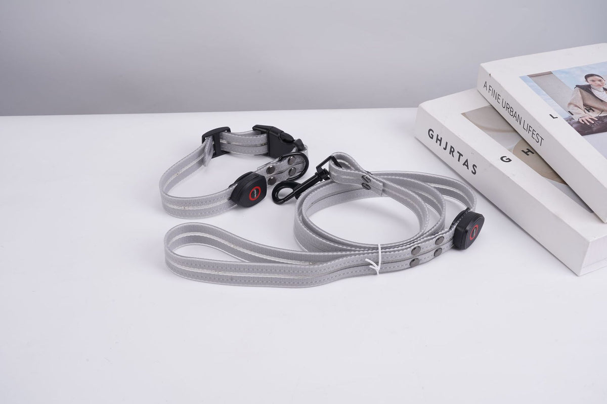 USB rechargeable LED dog collar in PVC, front view