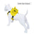 Animal backpack harness for small dogs and cats, main product photo