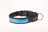 USB rechargeable LED dog collar glowing red at night