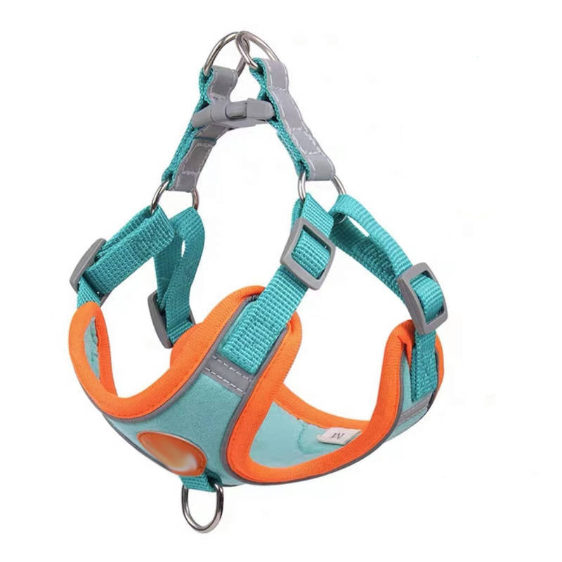 Small dog vest harness, available from Pet Royale UK