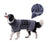 Quick-Dry Microfibre Dog Bathrobe, Absorbent Drying Coat After Baths