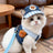 Denim and check pet harness and hat set, main product photo