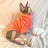 Thick velvet Sphynx cat jumper, available in 10 colours, image 13