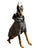 Black reflective hooded jacket for large dogs, in Black, sizes 3XL to 7XL, image 5