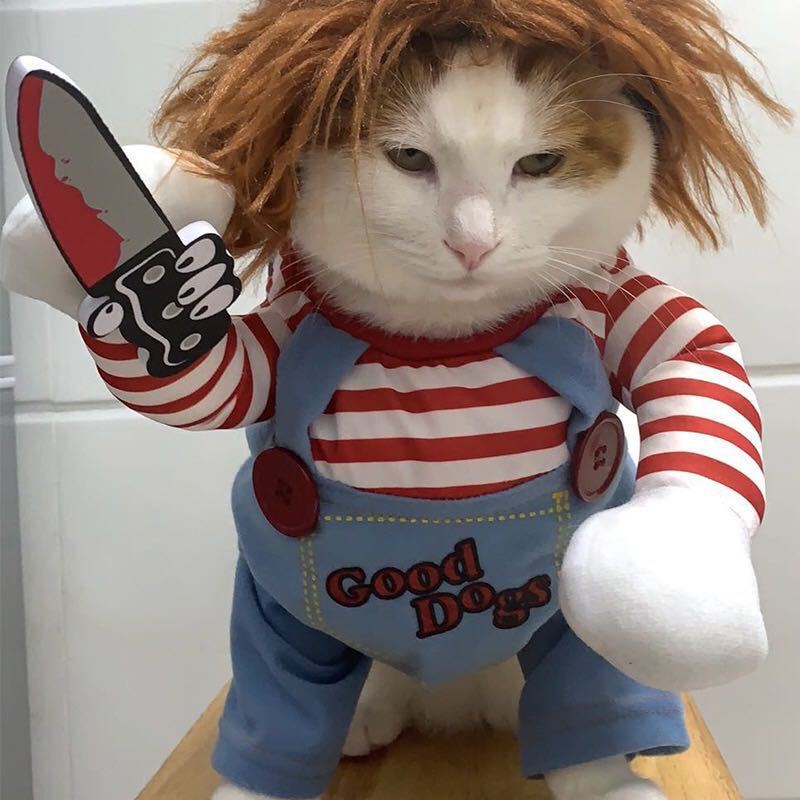 Halloween and Christmas pet costume for dogs and cats, in use with a pet