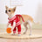 Small dog dressed in a priest Halloween costume
