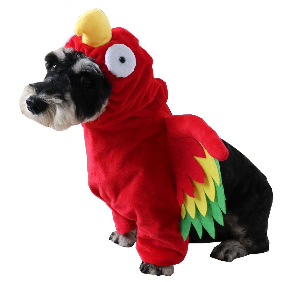 Cat dressed in a funny red and brown turkey costume
