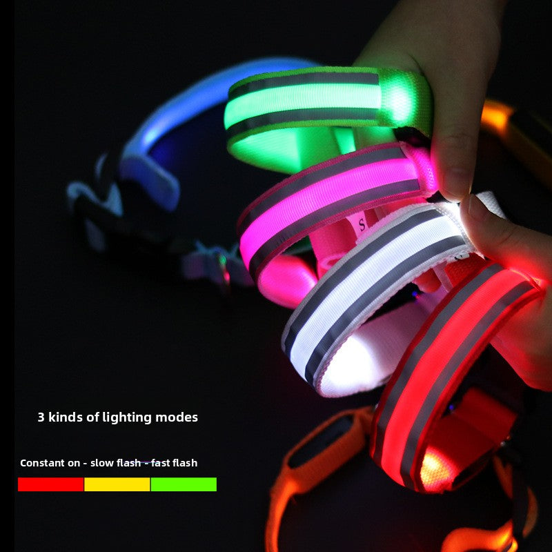 LED reflective dog collar glowing green on a night walk