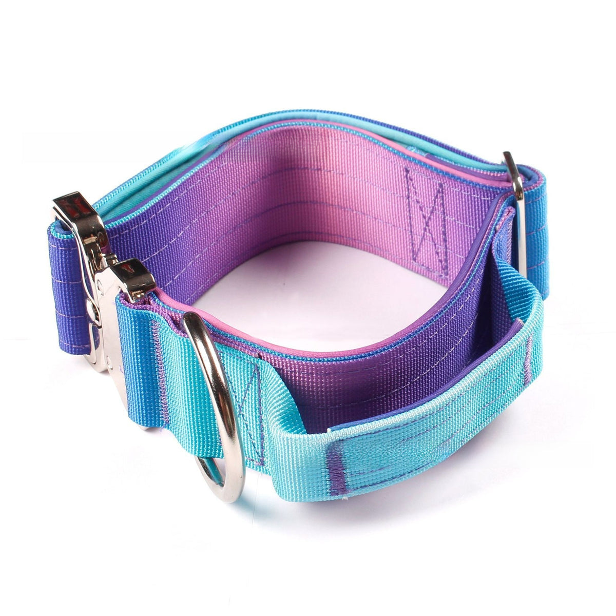 Gradient colour no pull dog harness with matching lead