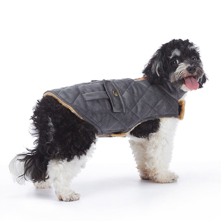 Waterproof padded British style dog winter coat in Pink, in a home setting