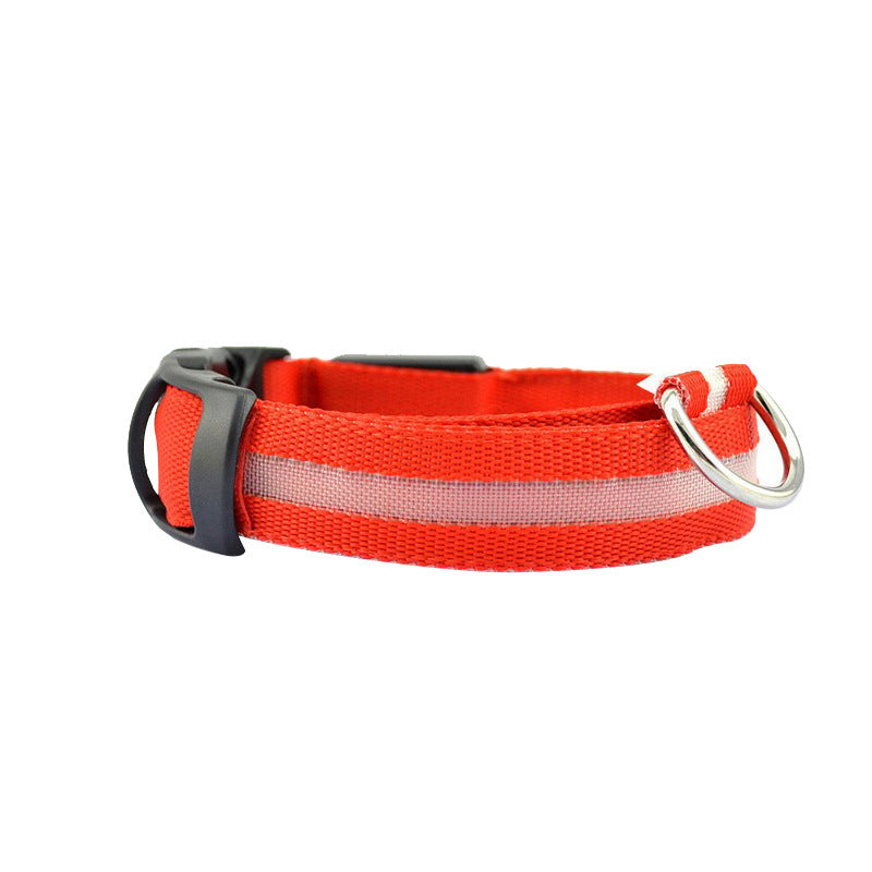 USB rechargeable LED collar for dogs and cats in Orange, in a home setting