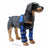 Pet Protective Sleeve