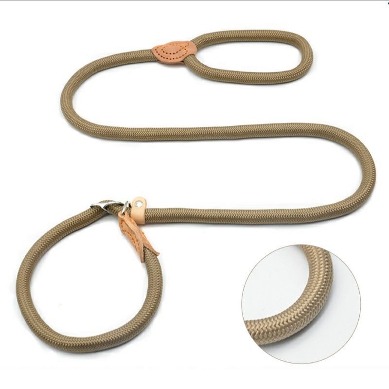 Braided rope dog leads in five colours and lengths