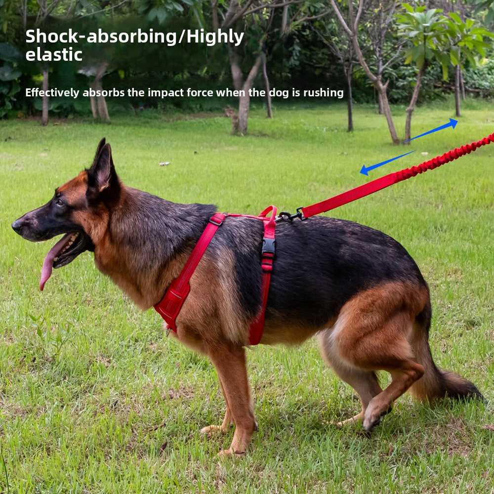 Adjustable nylon slip training lead for dogs, 2 sizes available