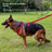 Adjustable nylon slip training lead for dogs, 2 sizes available