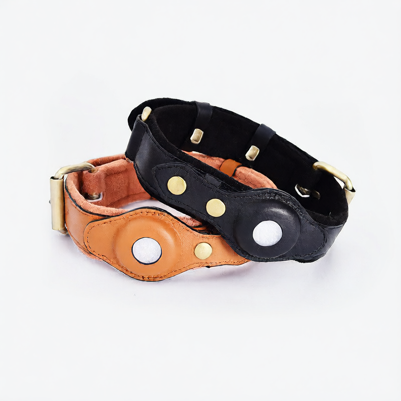 Suede finish dog collar with tracker tag holder in brown