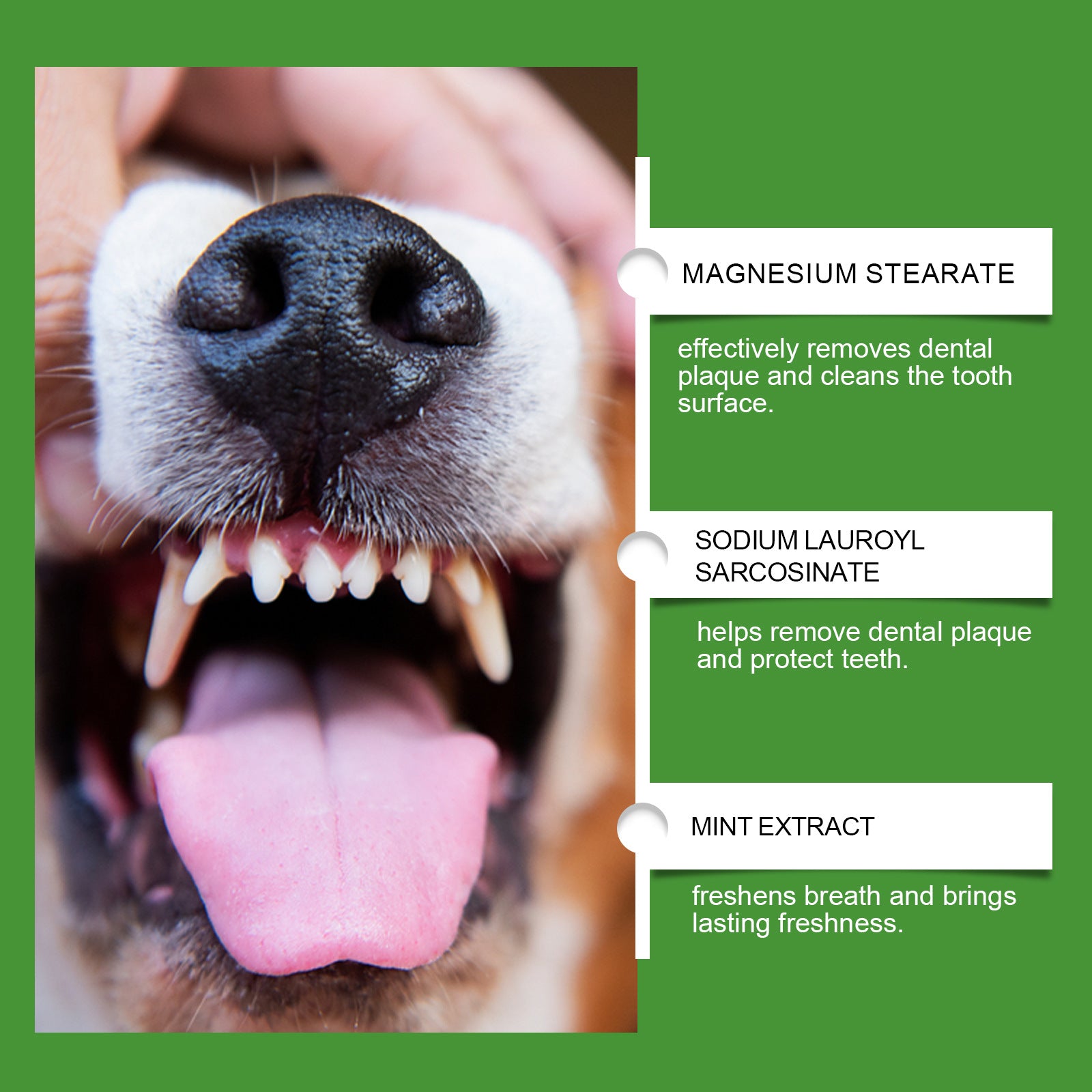 Dog Teeth Cleaning Powder for Plaque, Tartar and Fresh Breath