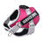 Reflective vest dog harness, available from Pet Royale UK