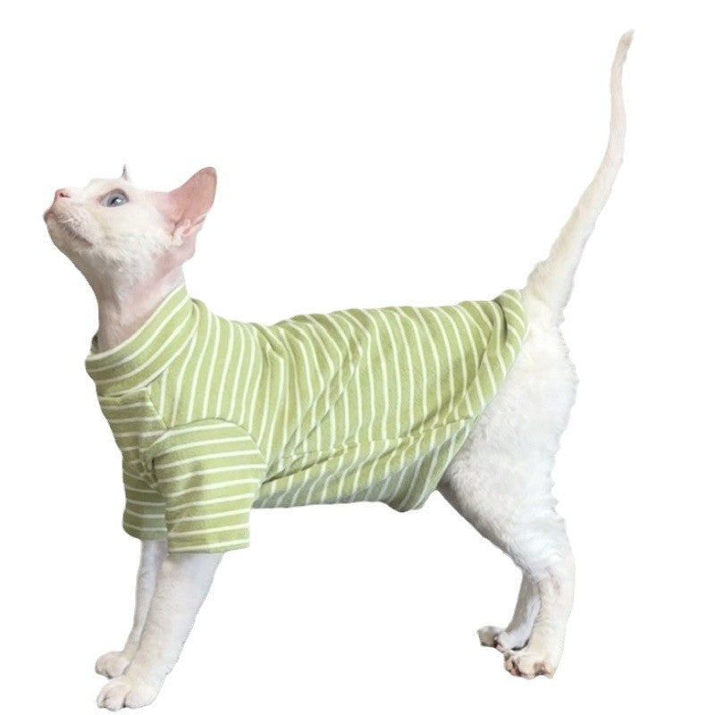 Sphynx cat wearing a warm purple two leg jumper