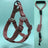 Three piece dog harness, collar and lead set in blue