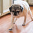 Soft Dog Nail Caps, Plastic Claw Covers to Prevent Scratching