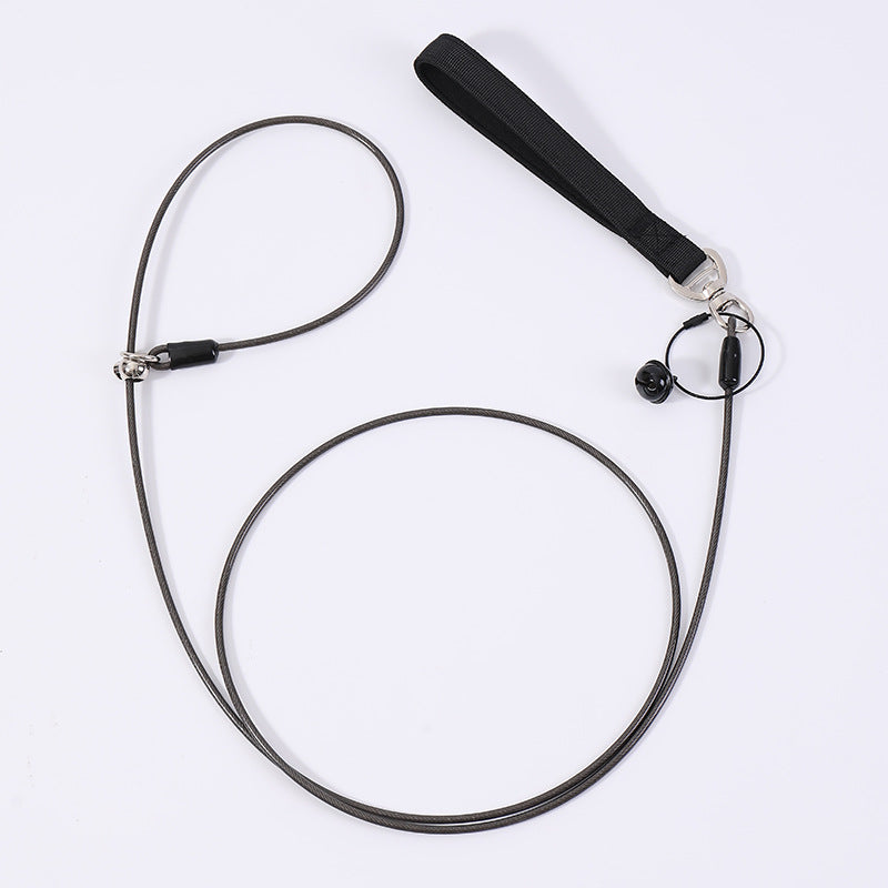 Steel wire core dog slip lead, ideal for everyday use