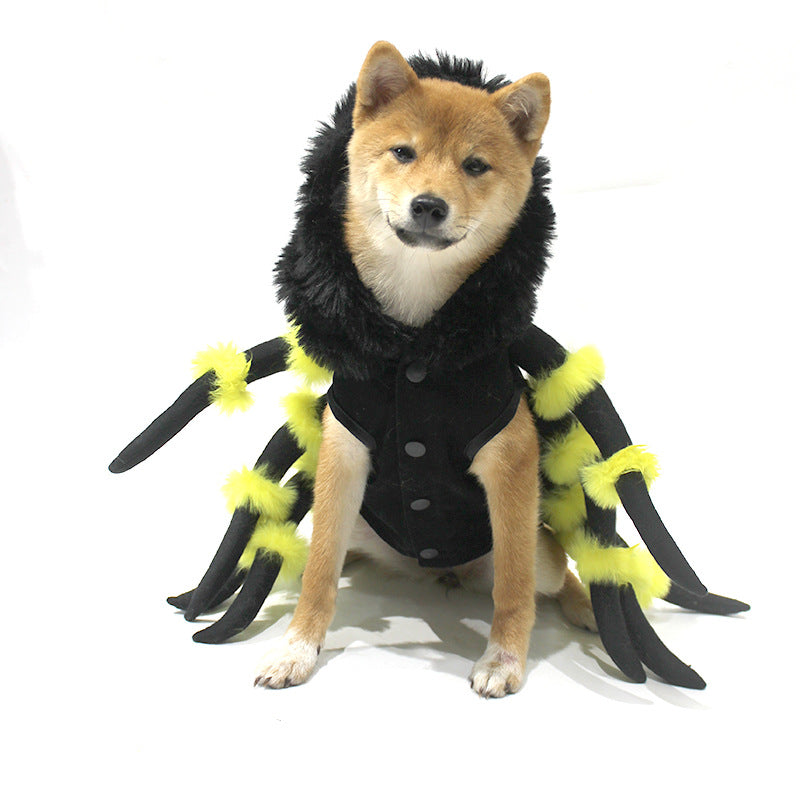 Funny spider Halloween costume for dogs and cats in Spider, front view