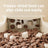 Pet Feeder Set