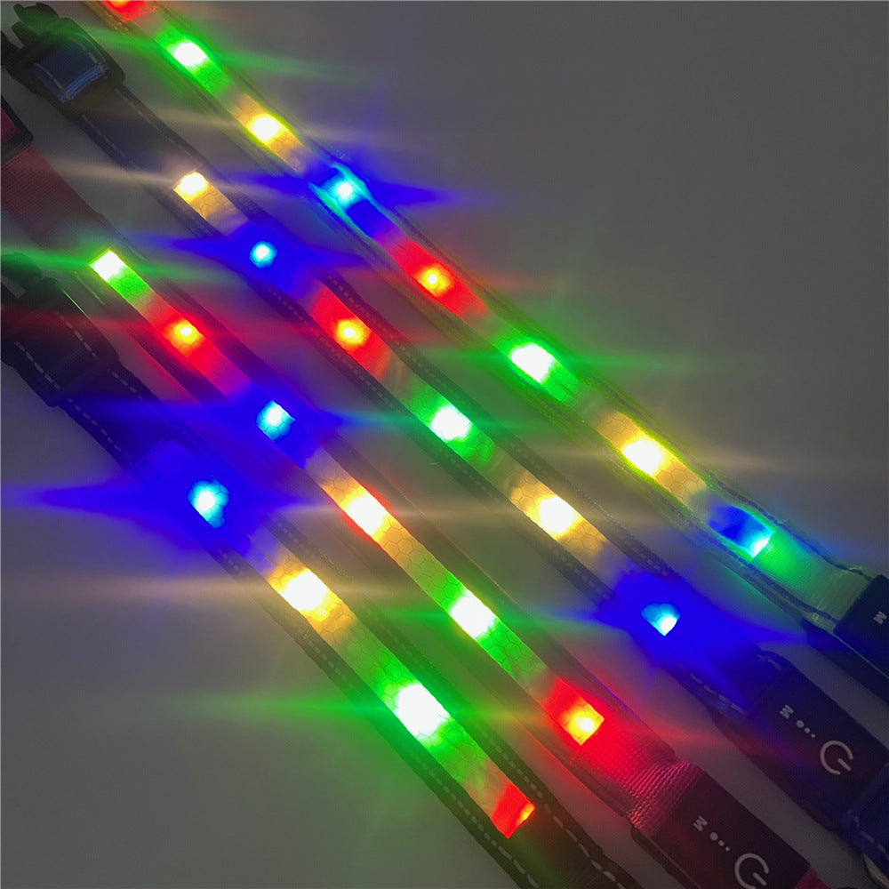 Adjustable LED light up dog collar in Blue, close-up detail
