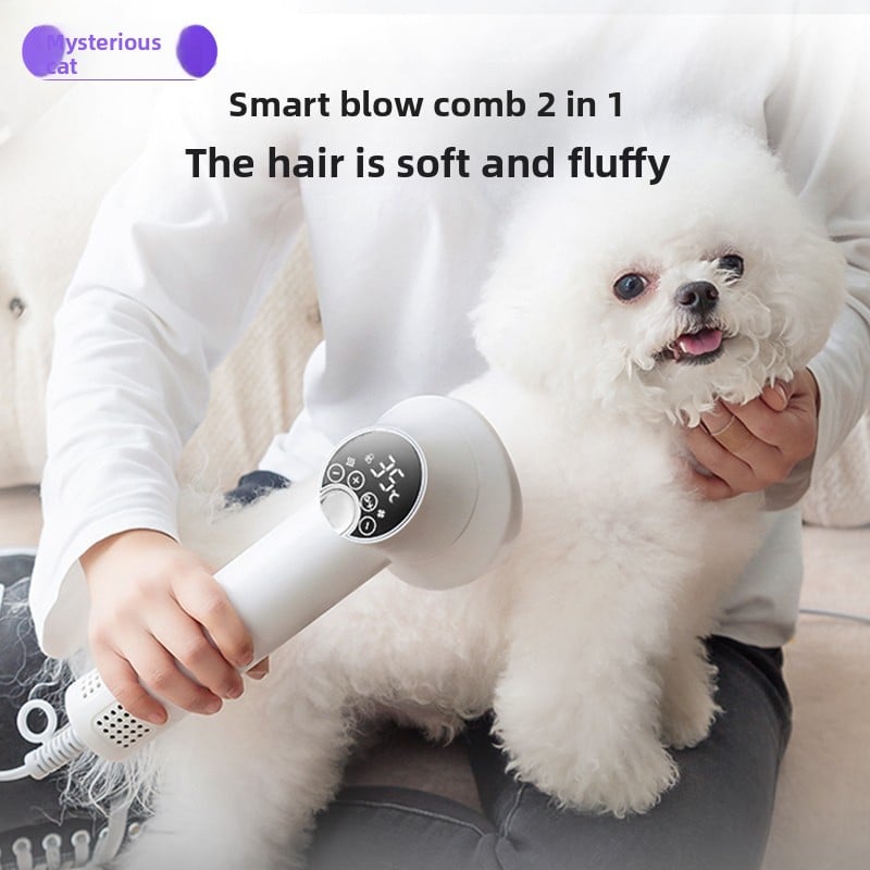 Pet hair dryer brush for dogs and cats, main product photo