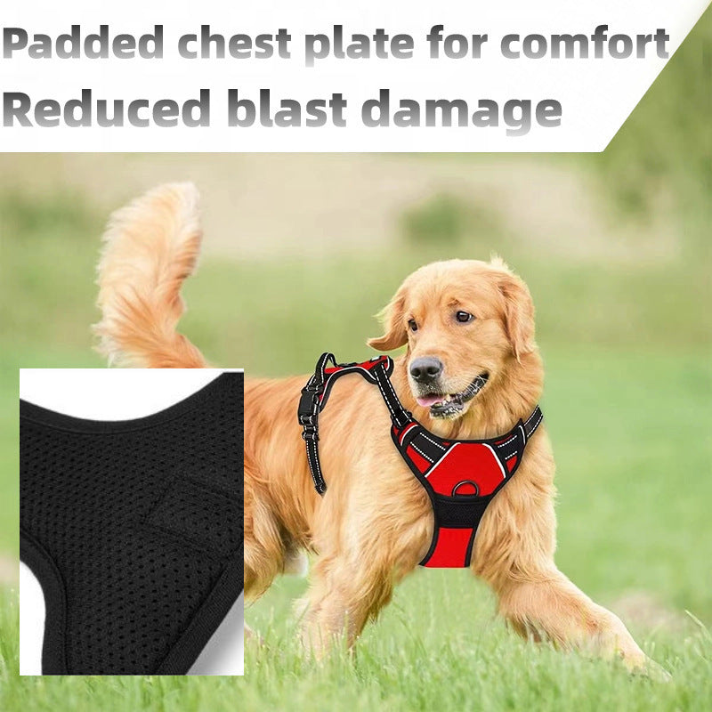Bright reflective vest dog harness with adjustable straps in orange, view 3