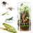 Clear acrylic cylinder enclosure with front door for small reptiles, view 5