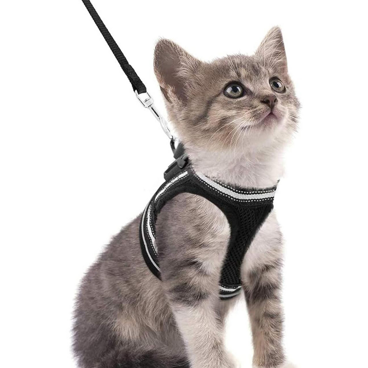 Escape-proof reflective harness and lead set in 5 colour options