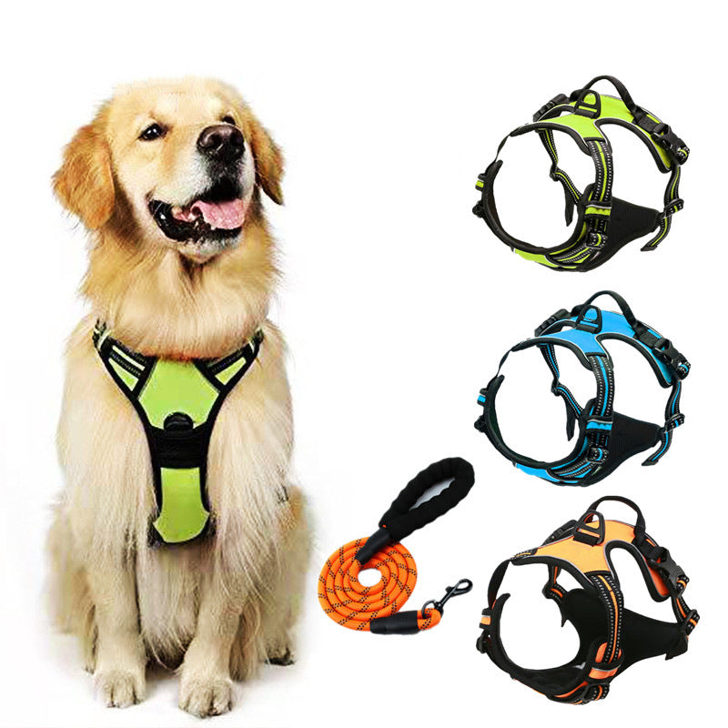Polyester dog harness sets shown in nine bright colours