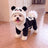 Small dog dressed in a padded black and white panda costume