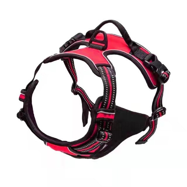 Reflective burst proof dog harness in orange with matching lead