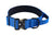Tactical nylon dog collar with cobra buckle in Bright Blue, close-up detail