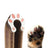 Kitten playing with the ringing ball beside a cardboard scratcher - photo 5